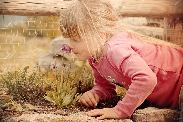 Kindertagespflege Ahaus Glückskinder Großtagespflege Ahaus Die Tageseltern mit der Beitragsreihe sieben sinne Geruchssinn